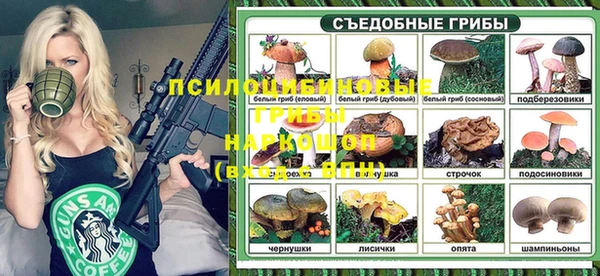 дмт Баксан