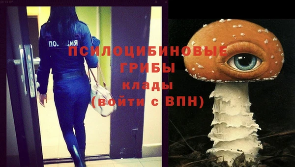 дмт Баксан