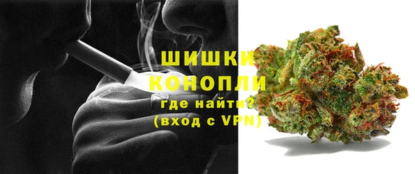 PSILOCYBIN Балабаново